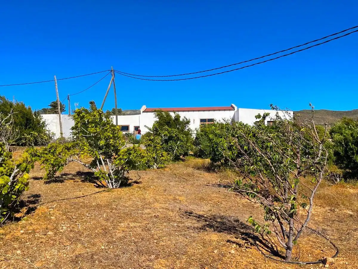 Land for sale in Ingenio