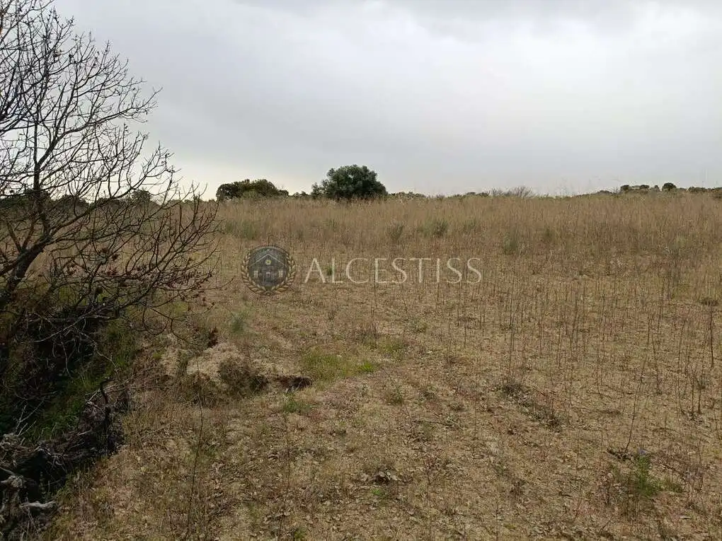Terreno rústico en venta en Aldea del Fresno, imagen 5