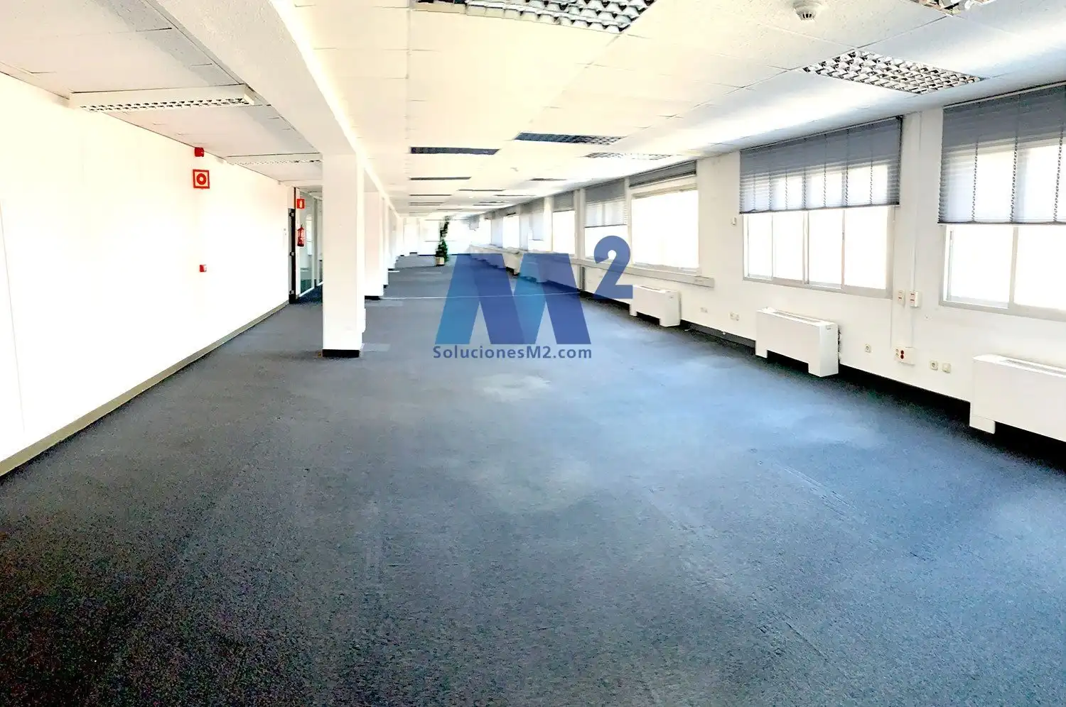 Ufficio in affitto a de castilla, imagen 4