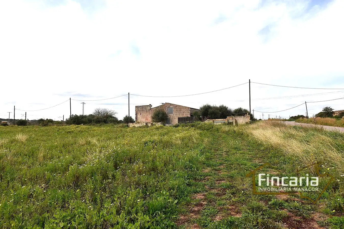 Finca rústica en venta en Manacor