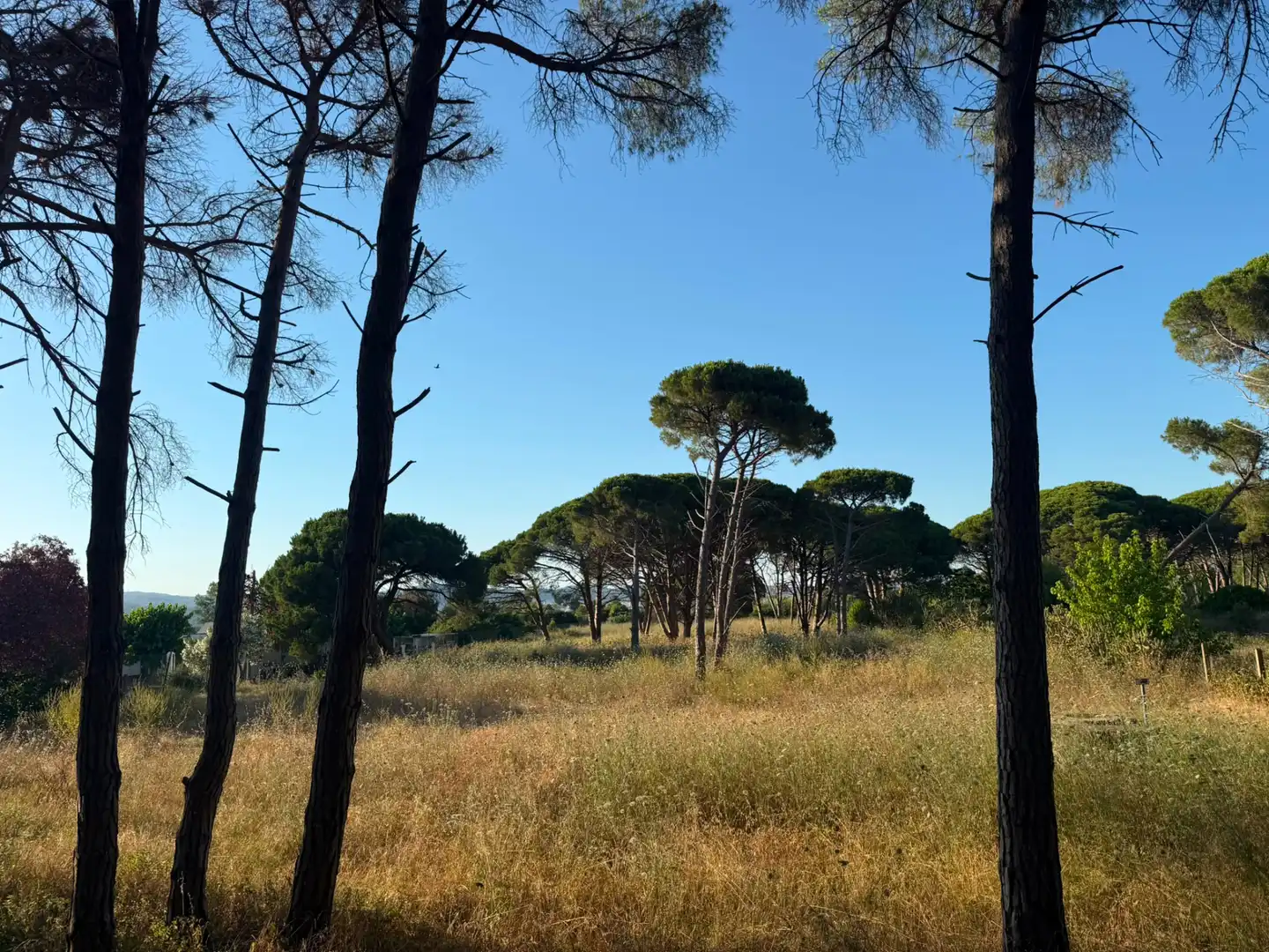 Land for sale in Gavà