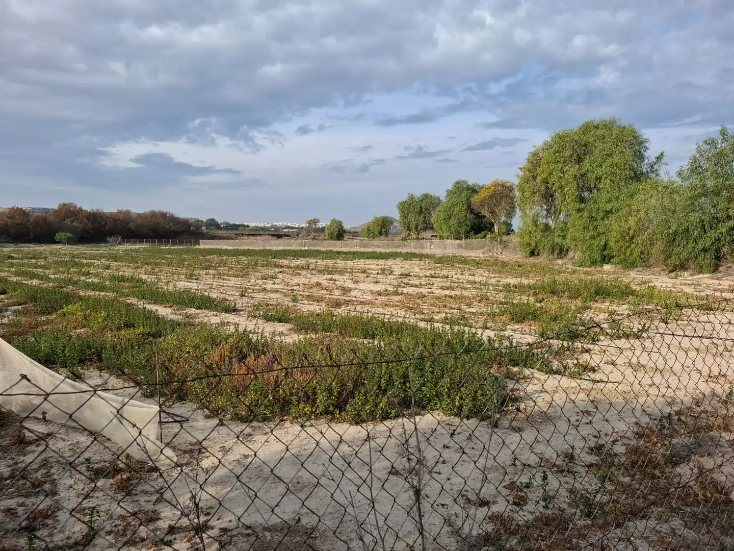 Terreno en venta en Guardamar del Segura