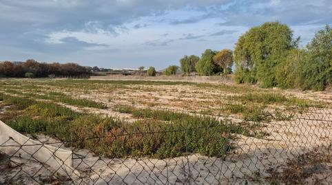 Photo 5 of Land for sale in Partida la Capitana, El Edén, Alicante