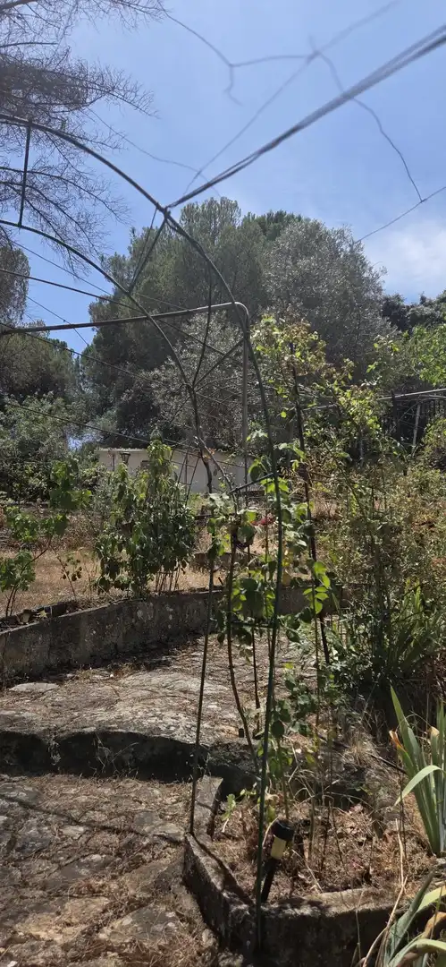 House with pool for sale in San Martín de Valdeiglesias, imagen 16