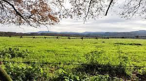 Country house for sale in Grado  with Private garden