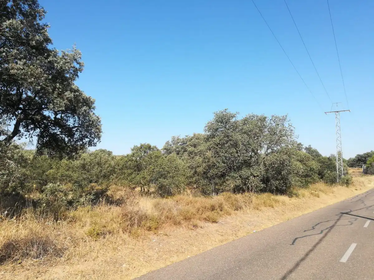 Terreni e lotti in vendita a Carretera de Sevilla - Los Montitos, imagen 3
