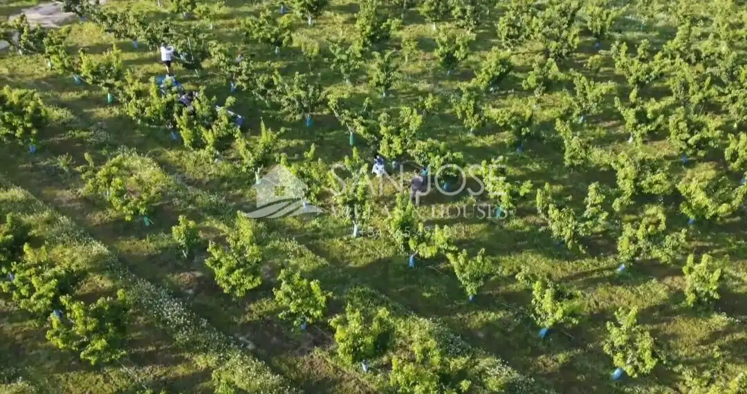 Terreno residencial en venta en Monforte del Cid, imagen 5