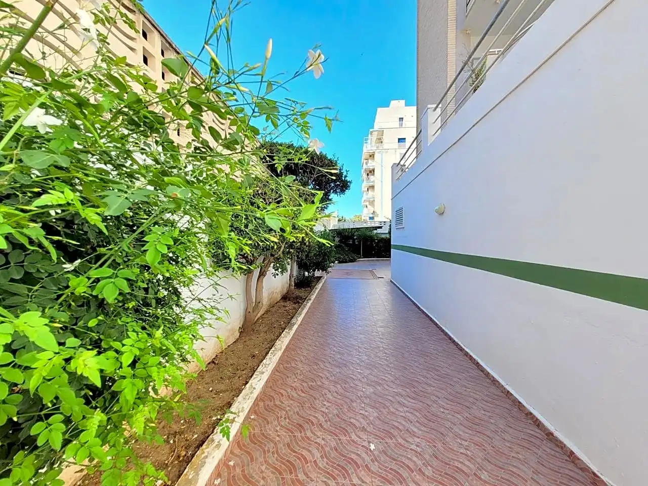 Apartament de lloguer a Camp De Morvedre, 49, Playa de Gandia