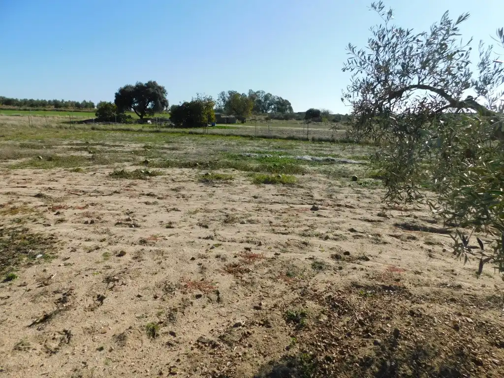 Casa o chalet en venta en La Haba  con Jardín privado y Trastero