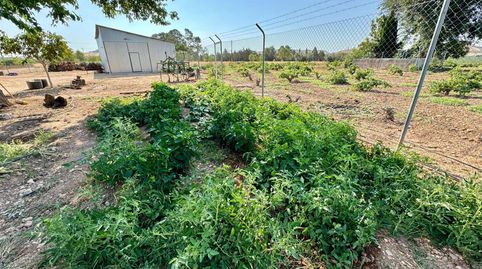 Finca Rúst. en venta en Nacional  IV., imatge 5