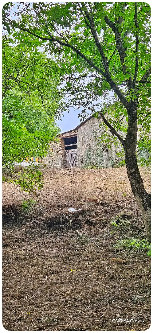 Casa o chalet en venta en Triacastela con Jardín privado, Trastero y Balcón