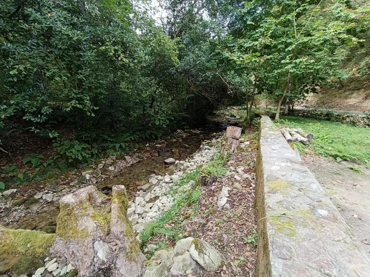Rustikales Grundstück zum Verkauf in Vibaña - Ardisana - Caldueño, imagen 21