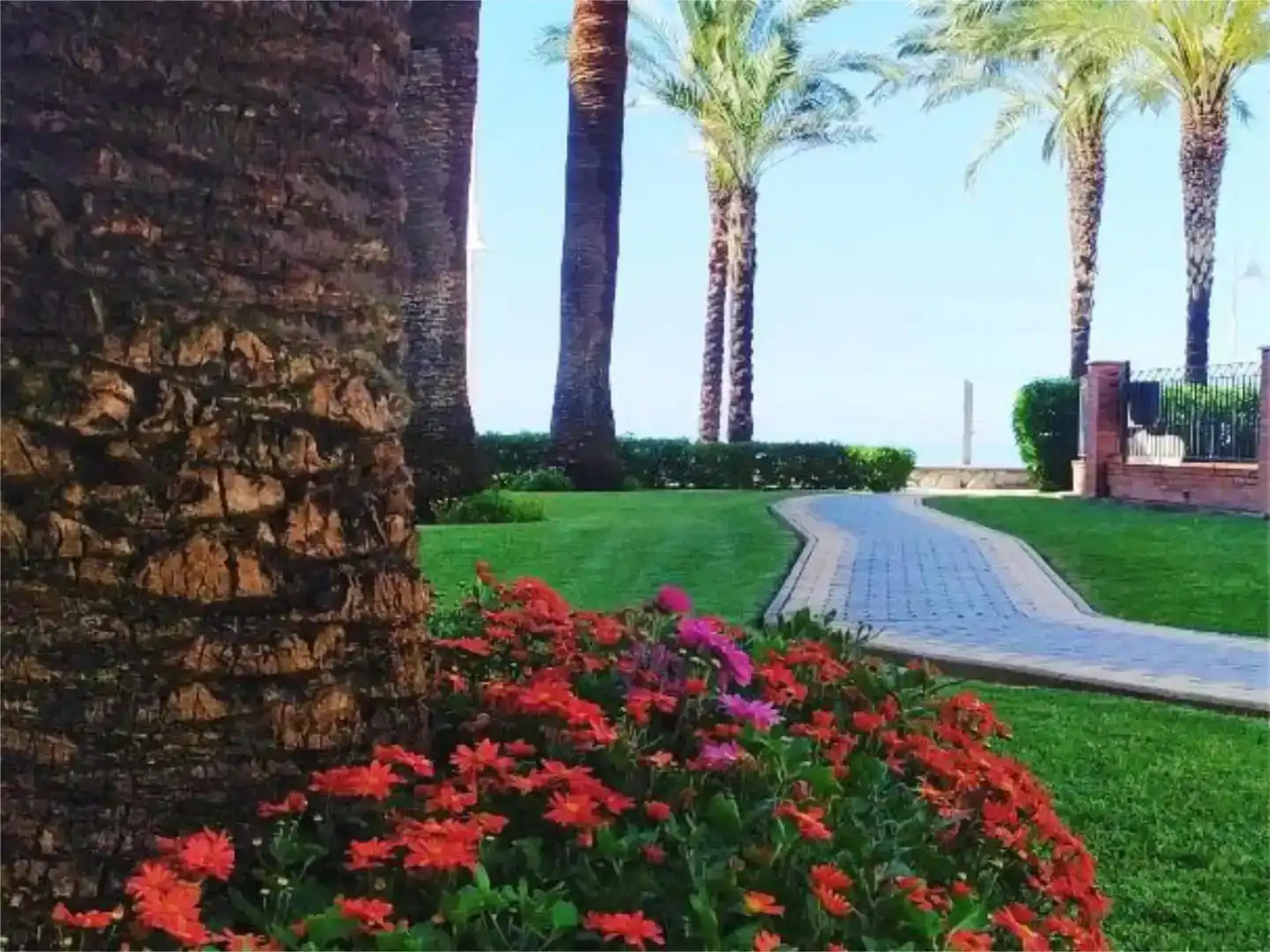 Garten von Wohnung zur Miete in Algarrobo mit Klimaanlage und Schwimmbad