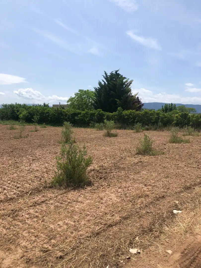 Terreny rústic en venda a Murillo de Río Leza, imagen 9