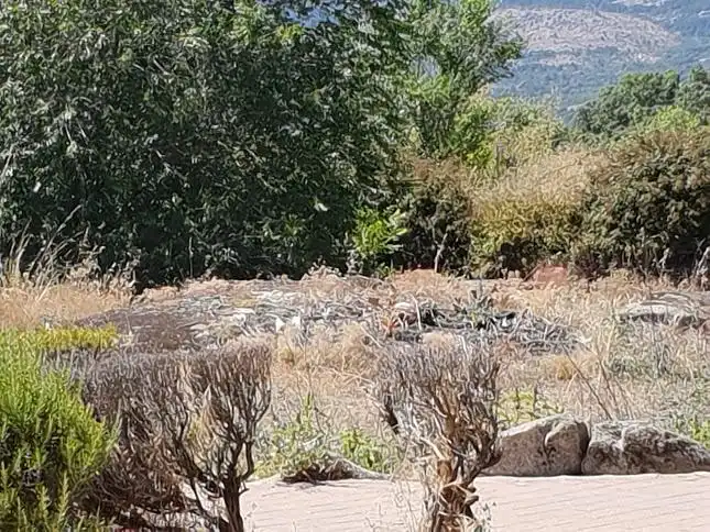 Lands and plots for sale in De Madrid 27, imagen 14