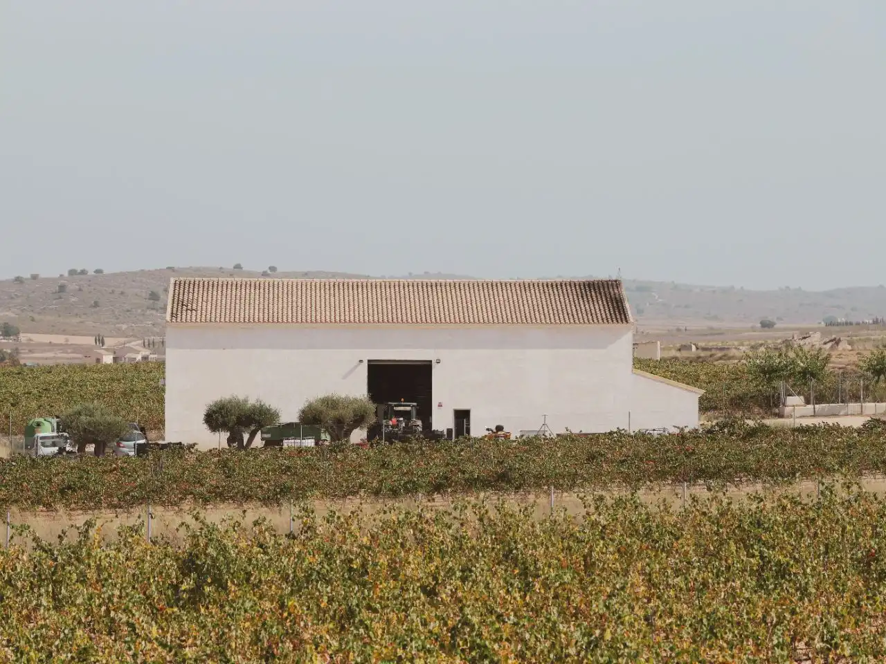 Detached house with pool for sale in Calle del Vino 1, imagen 32