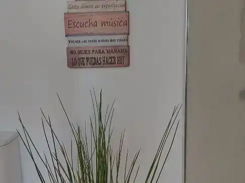 Garden of Flat for rent in Güímar  with Swimming Pool, Furnished and Balcony