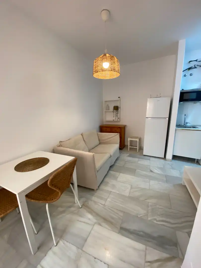 Sala d'estar de Apartament de lloguer en Málaga amb Aire condicionat, Moblat i Rentadora