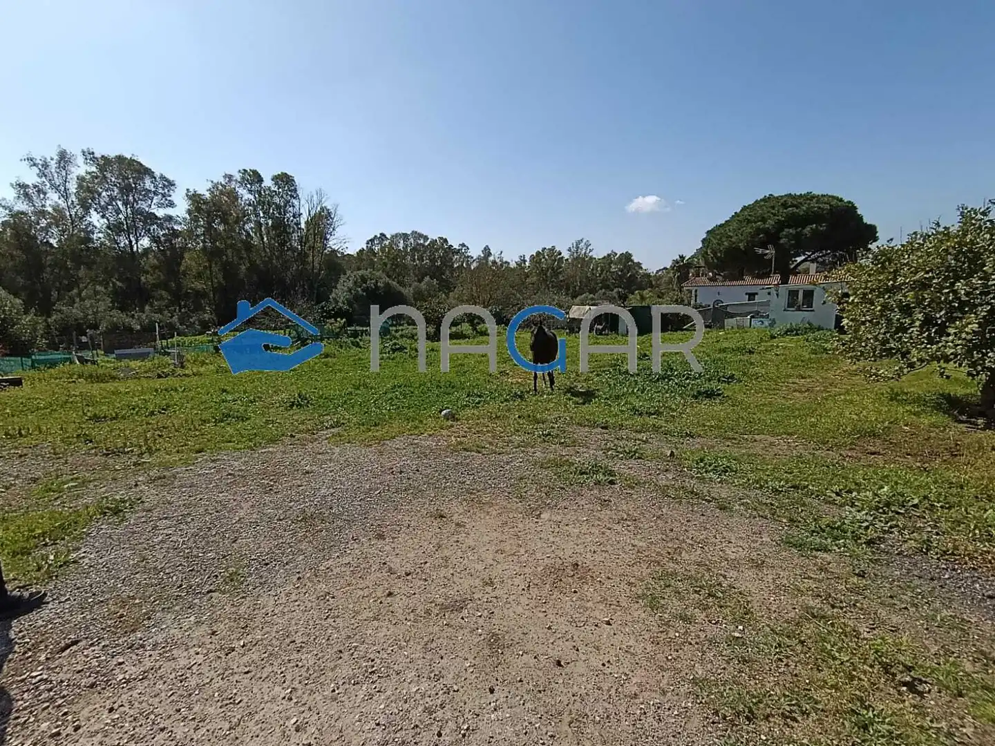 Terreno rustico in vendita a San Roque Pueblo, imagen 3