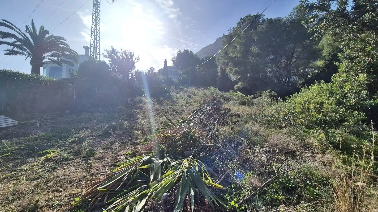 Terreni e lotti in vendita a Avellana, imagen 19