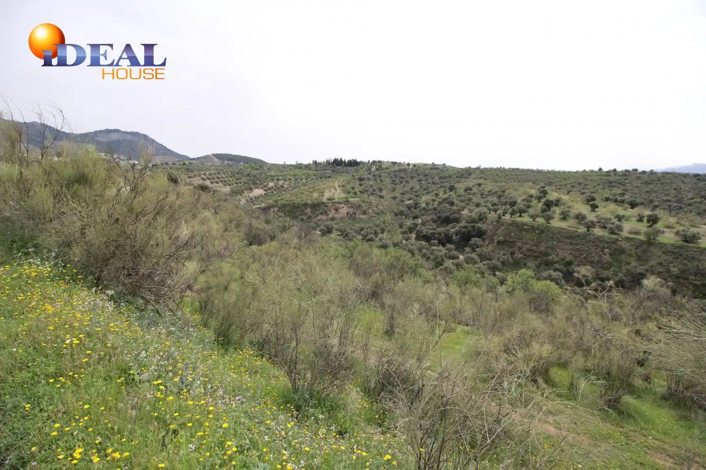 Country homes for sale in Víznar