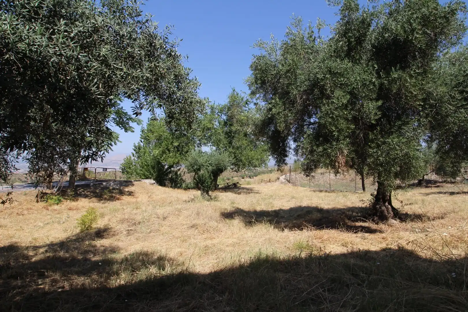 Wohnbaugrundstück zum Verkauf in Albaicín, imagen 12