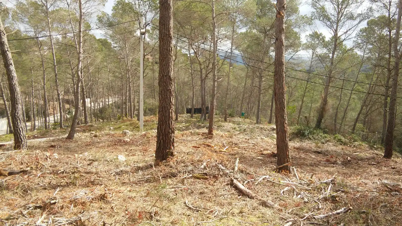 Terreno residencial en venta en Carrer de L'Estṛella 6, imagen 18