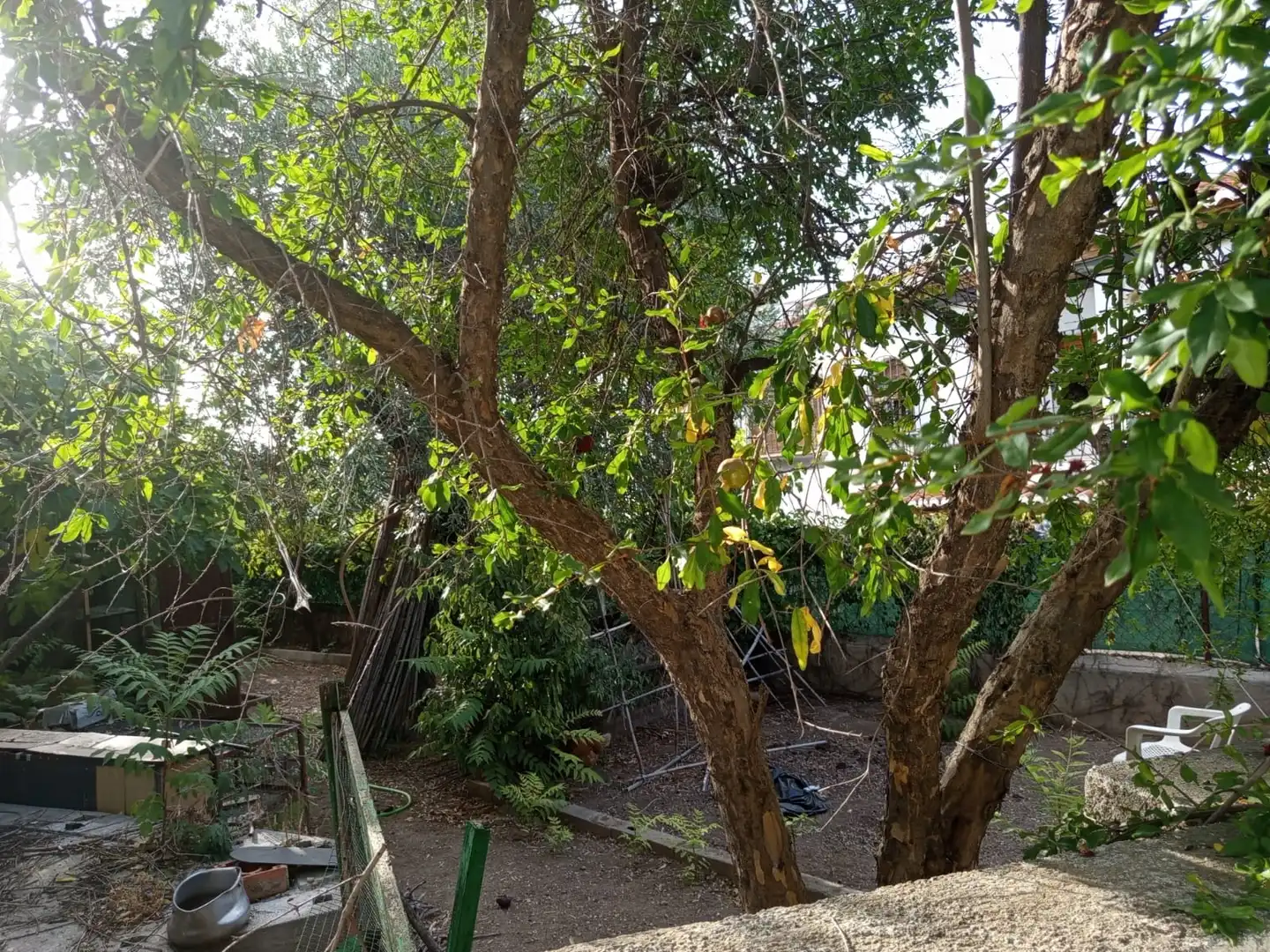 Jardí de Casa o xalet en venda en La Zubia amb Jardí privat i Piscina