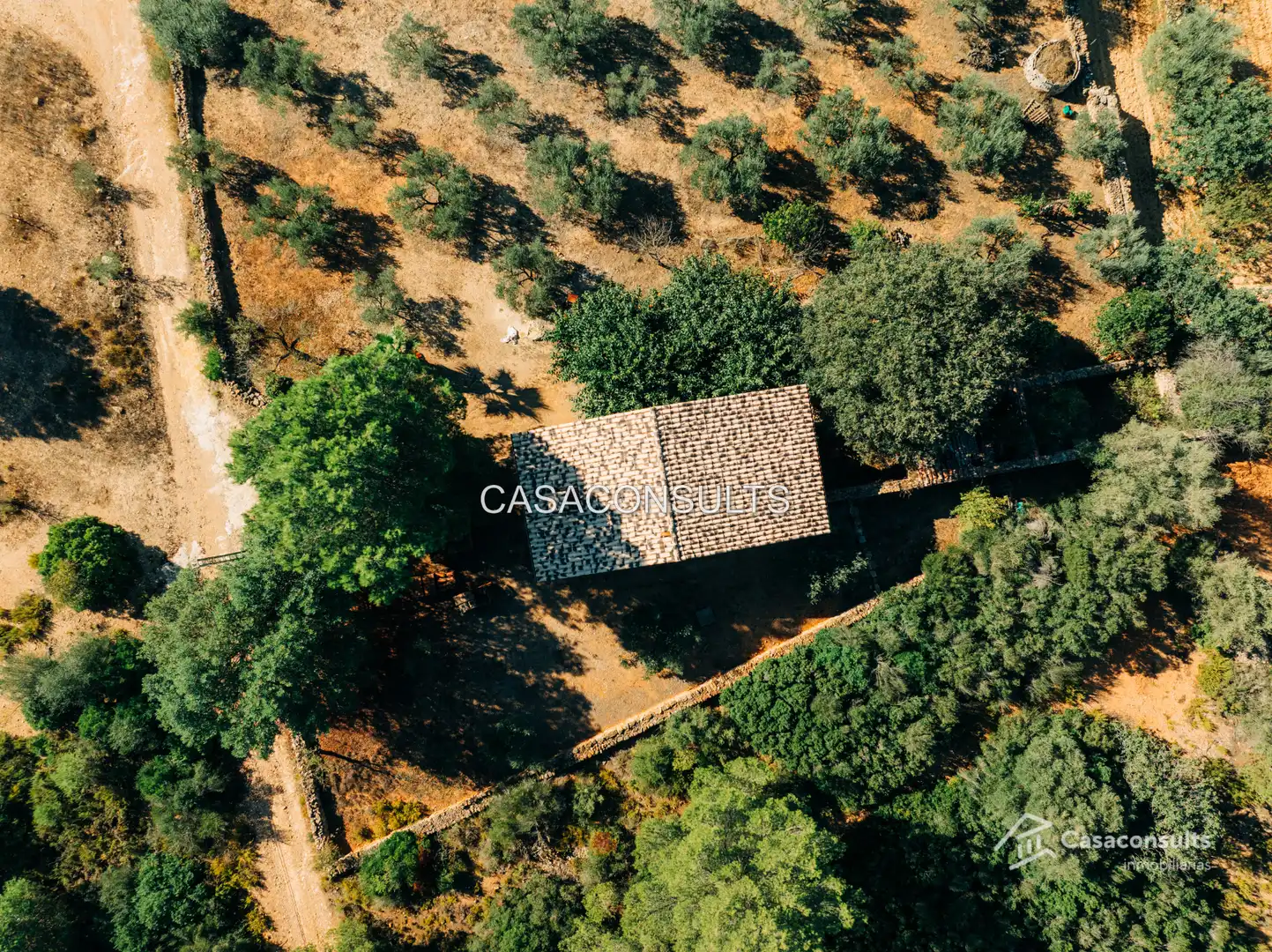 Casa rustica con terrazza in vendita a Vall d'Alba, imagen 8