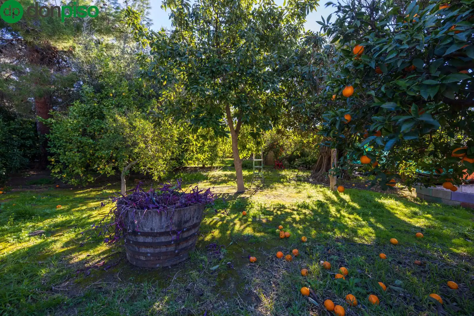 Villa avec terrasse à vendre à Calle del Nacimiento, imagen 54