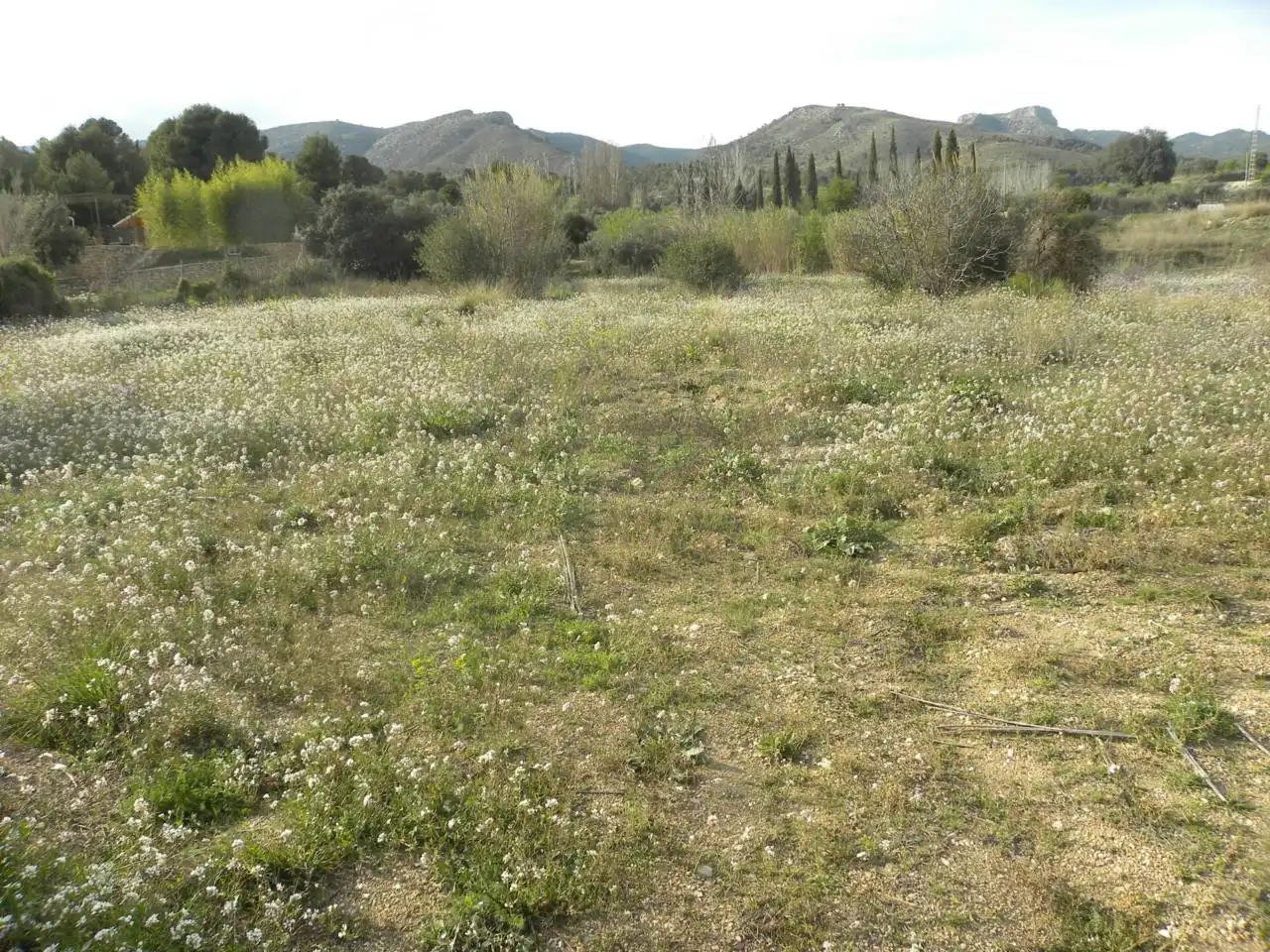 Residencial en venda en Caravaca de la Cruz