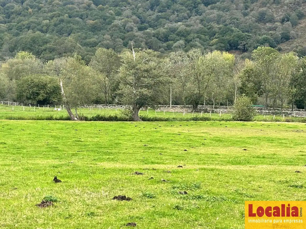 Terreni e lotti in vendita a Ruente, imagen 5