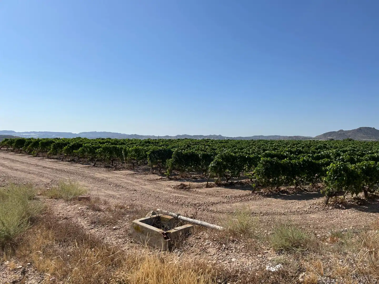 Casa o chalet en venta en Novelda con Calefacción, Jardín privado y Terraza