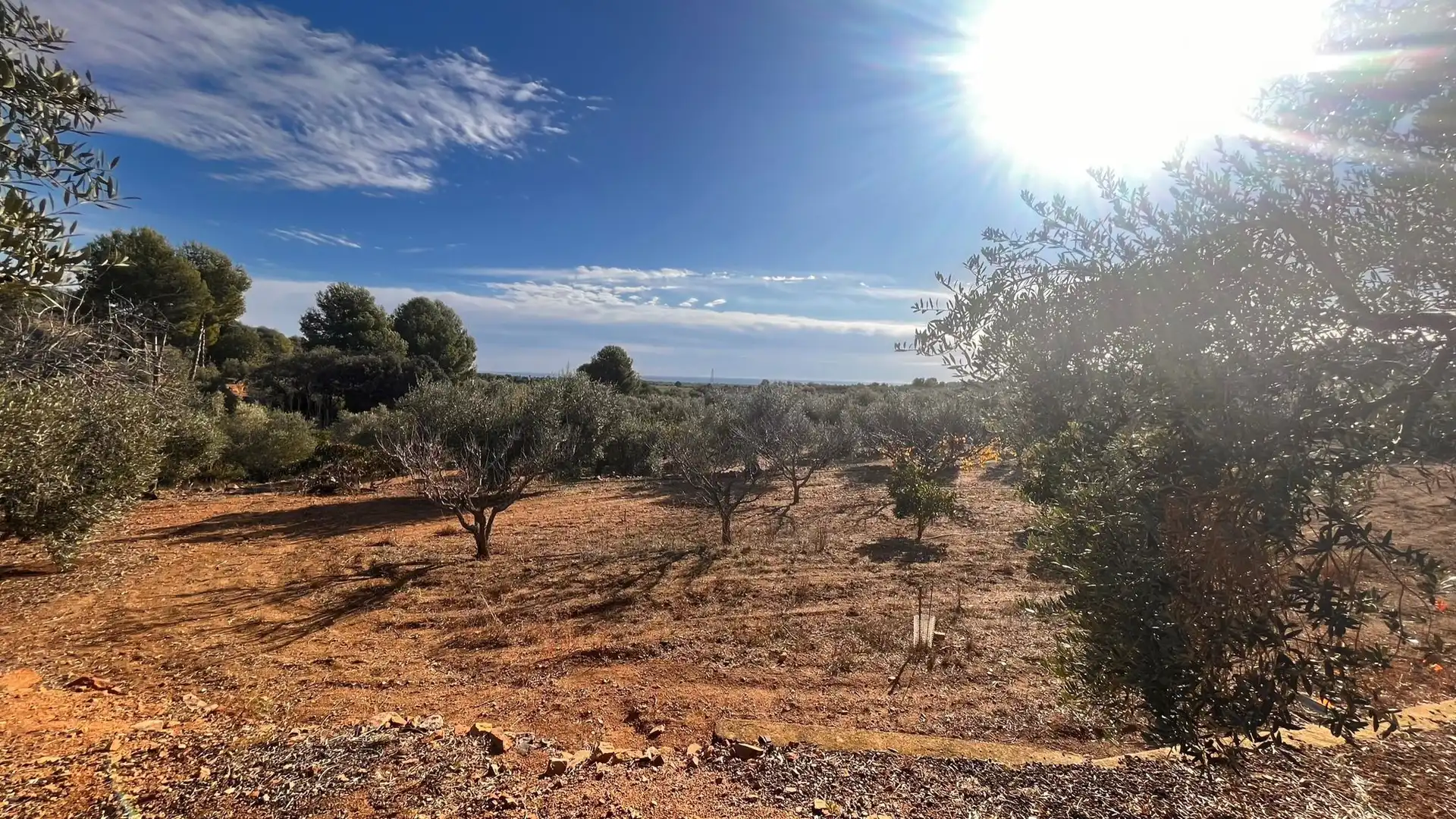 Terreno rustico in vendita a Carrer de Sant Abdó i Sant Senén, imagen 21