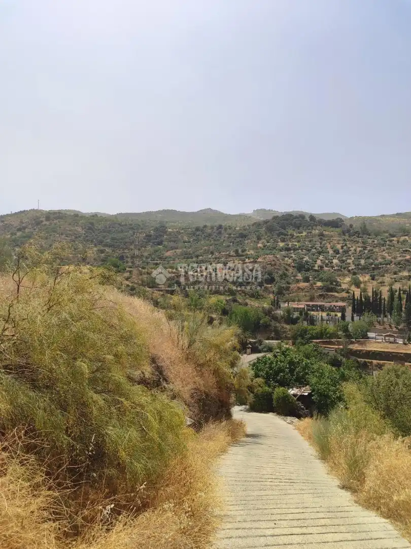 Rustikales Grundstück zum Verkauf in Pinos Genil, imagen 20
