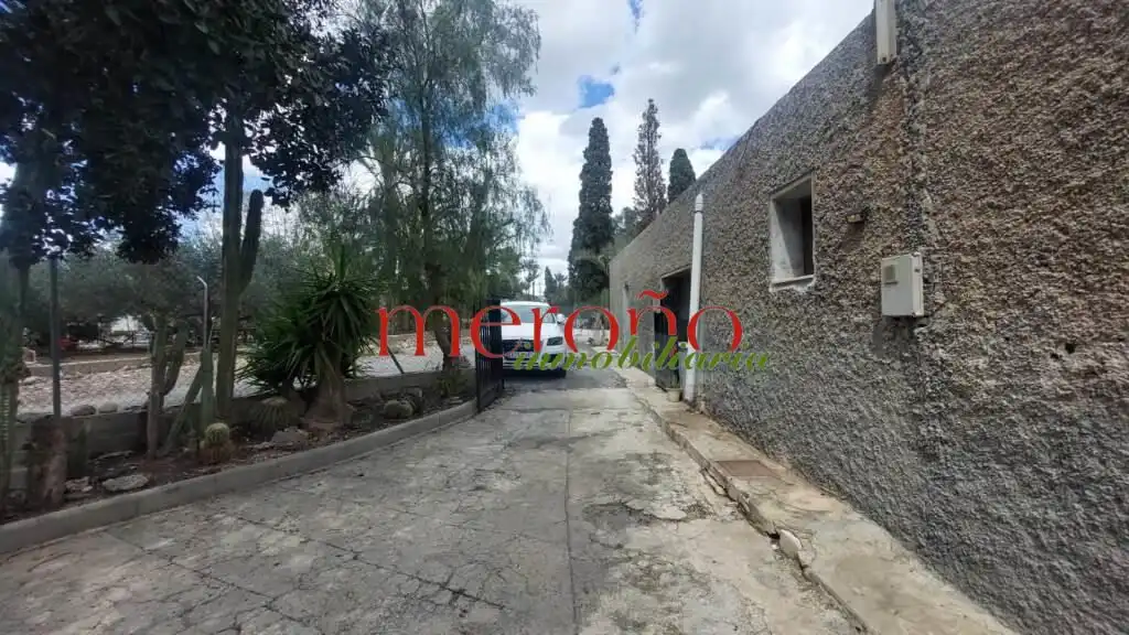 Vista exterior de Casa o chalet en venta en Elche / Elx