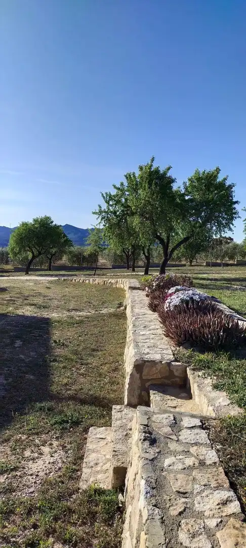 Country homes for sale in Garcia