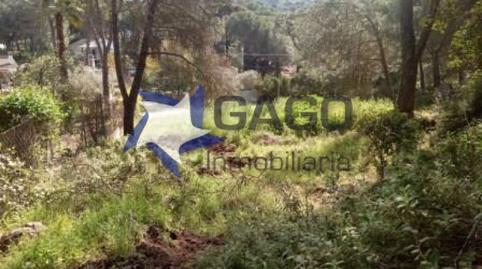 Photo 3 of Flat for sale in Las Jaras,  Córdoba Capital