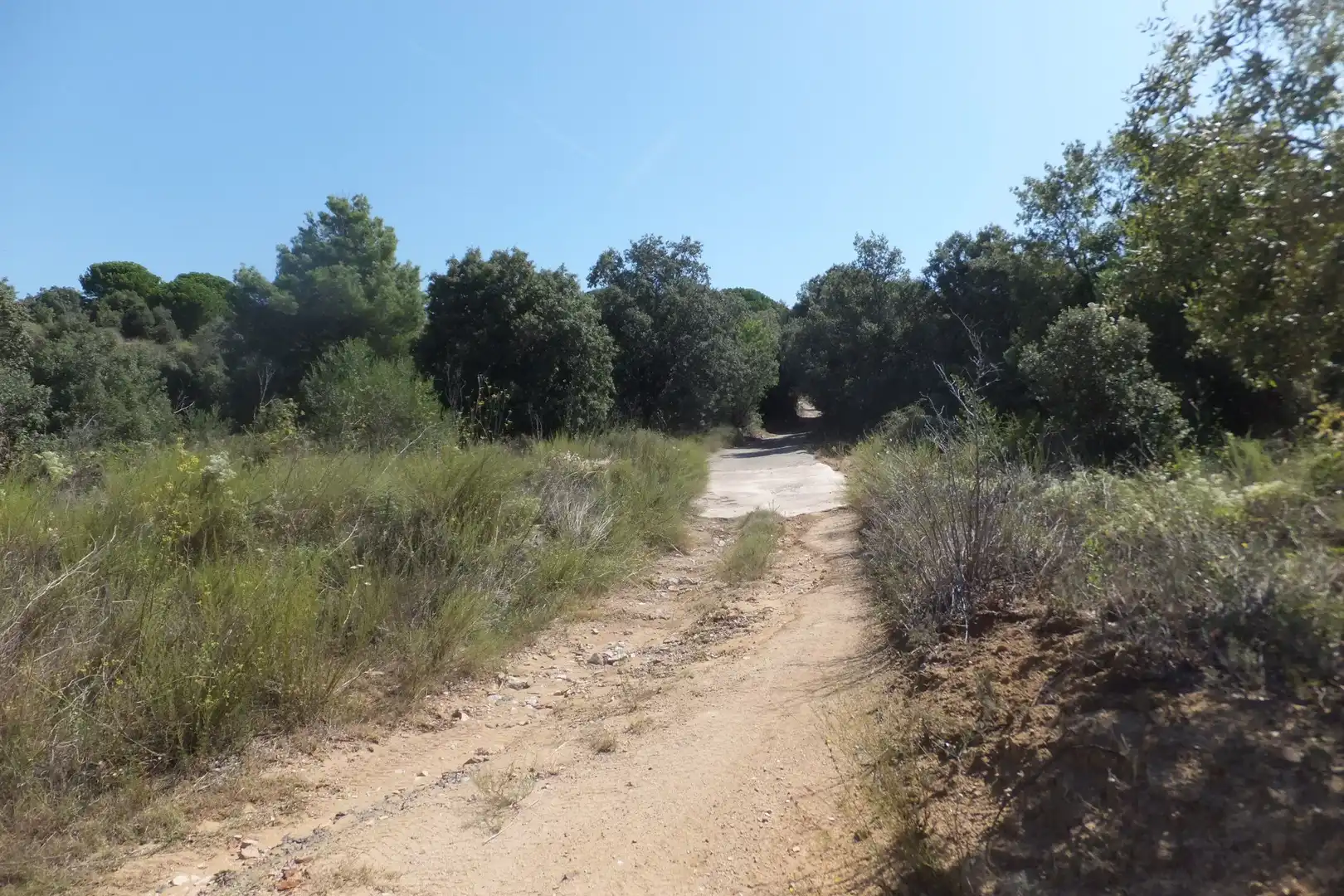 Land for sale in Alforja