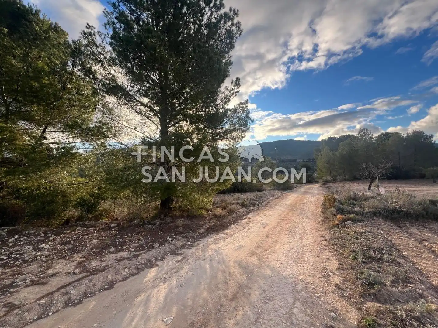 Terreny residencial en venda a Torremanzanas / La Torre de les Maçanes, imagen 11