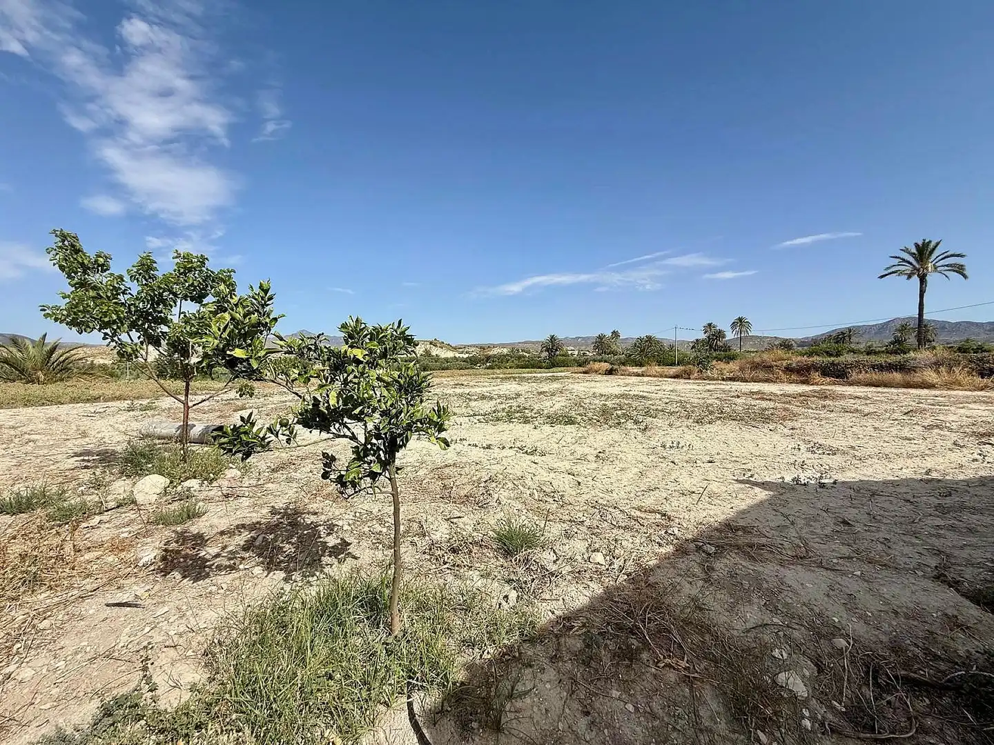 Xalet en venda a Abanilla, imagen 6