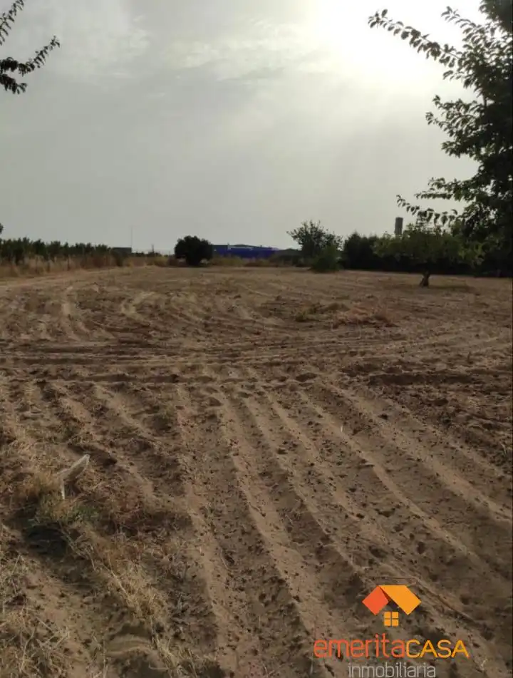 Terreni e lotti in vendita a Oeste, imagen 2