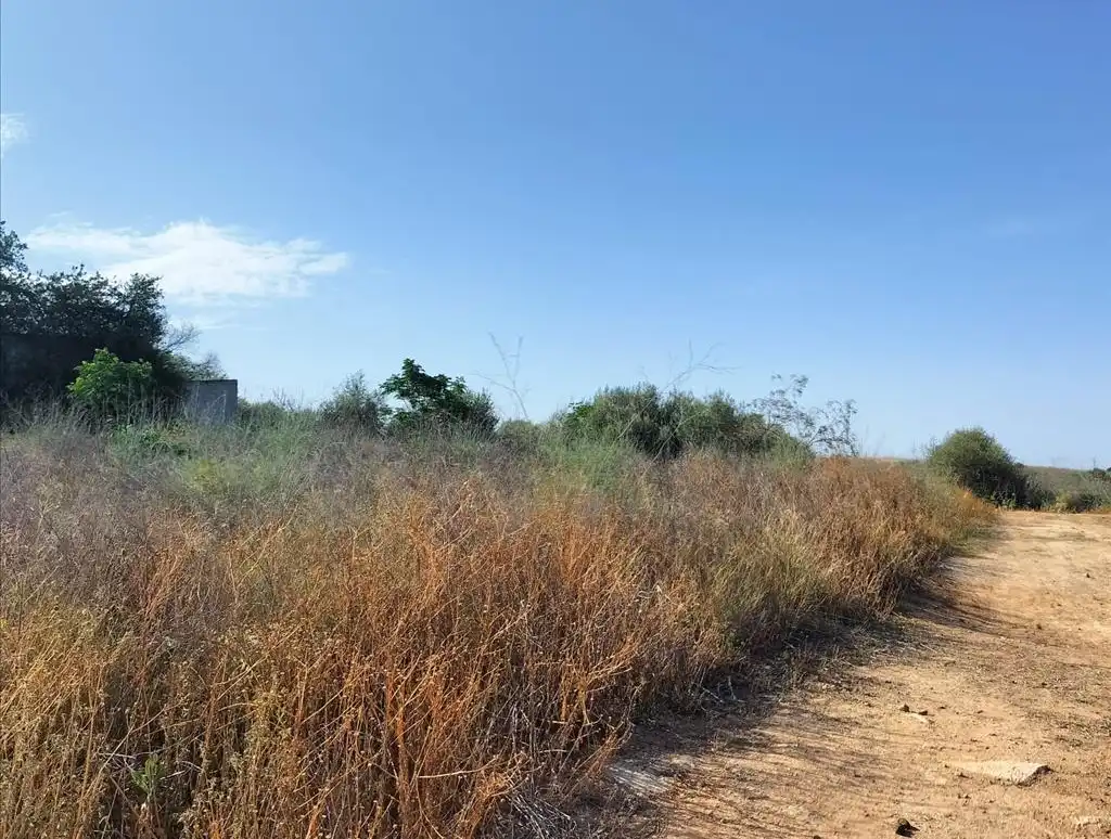 Terreni e lotti in vendita a Carretera de Palomares, imagen 10
