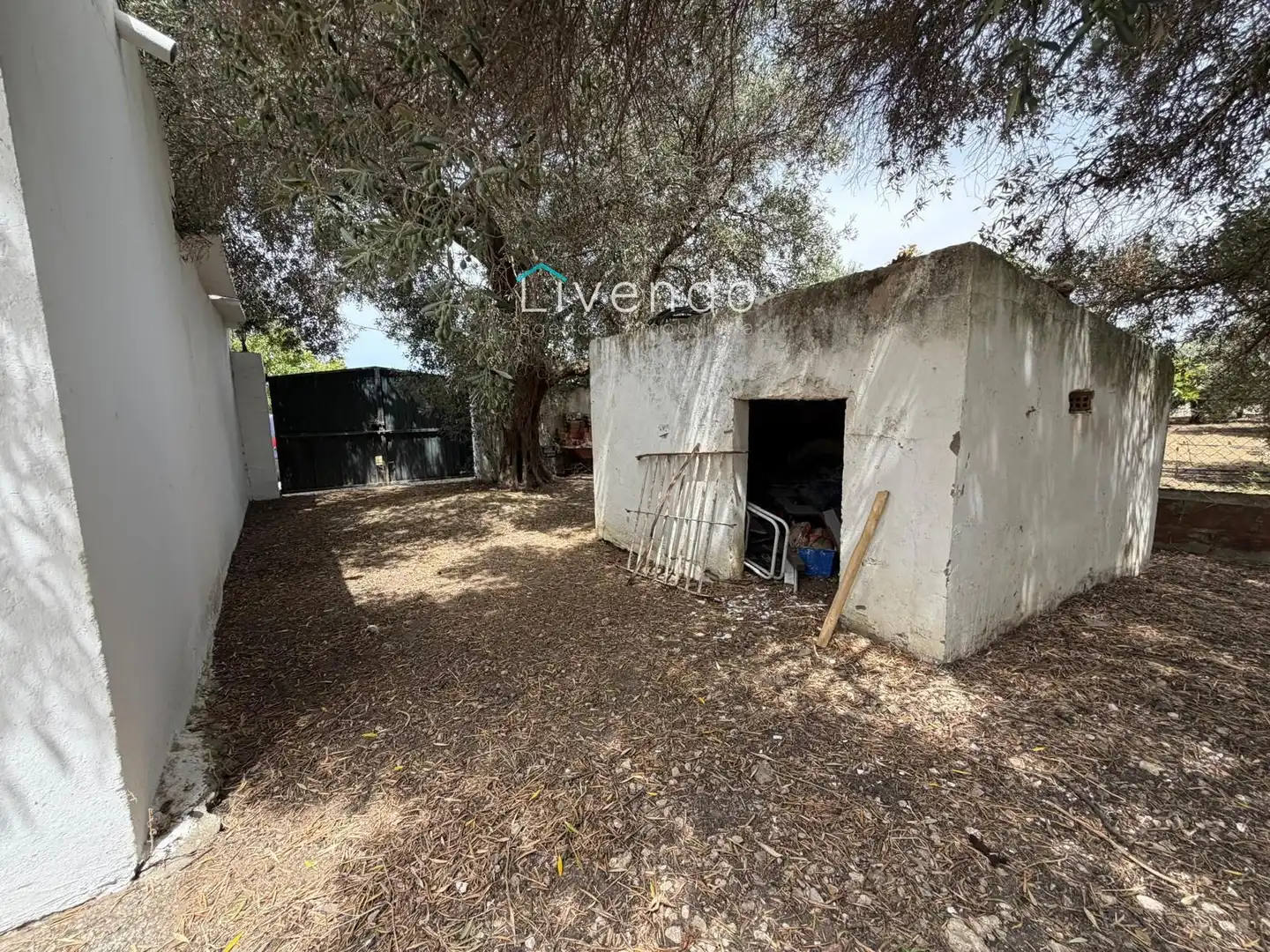 Chalet en venta en BARRIO NUEVO, imagen 27