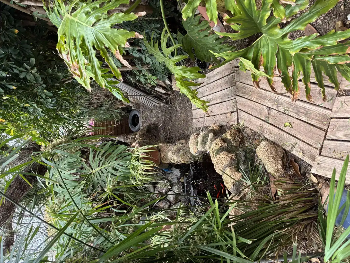 Jardí de Casa adosada en venda en Granadilla de Abona amb Jardí privat, Parquet i Moblat