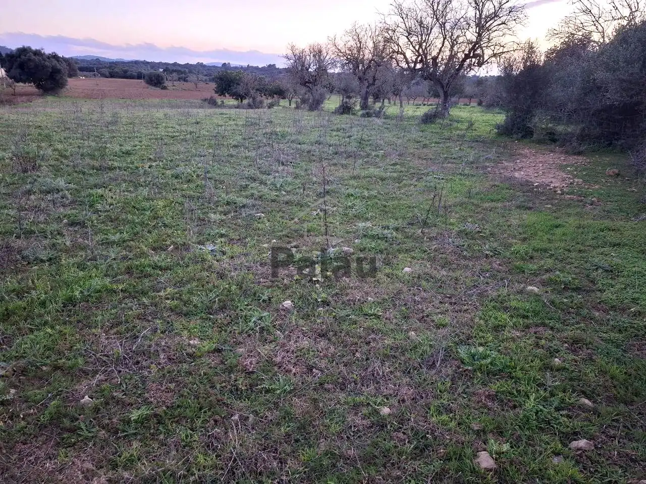 Rustikales Grundstück zum Verkauf in Felanitx Poble, imagen 3