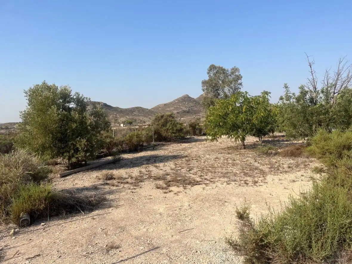 Casa rústica en venta en Partida de la Escandella, imagen 6