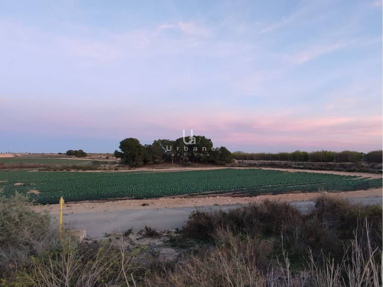 Land for sale in  Murcia Capital