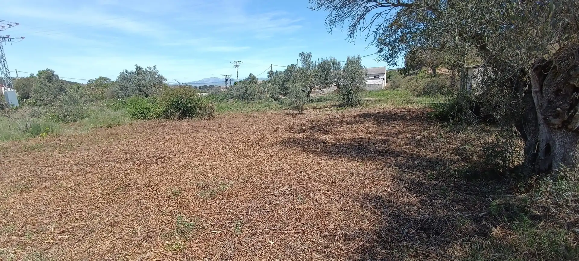 Rustikales Grundstück zum Verkauf in Murillo de Río Leza, imagen 4