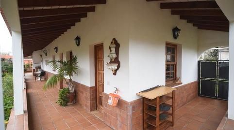 Foto 3 de Finca rústica en venda a Calle la Caridad, Tacoronte - Los Naranjeros, Santa Cruz de Tenerife